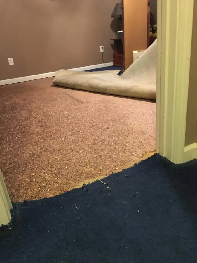Carpet pad removal revealing water damage during Water Mitigation Services in Pembroke Park